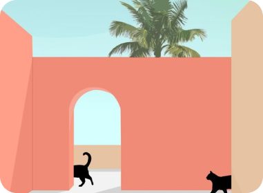 tropical album cover